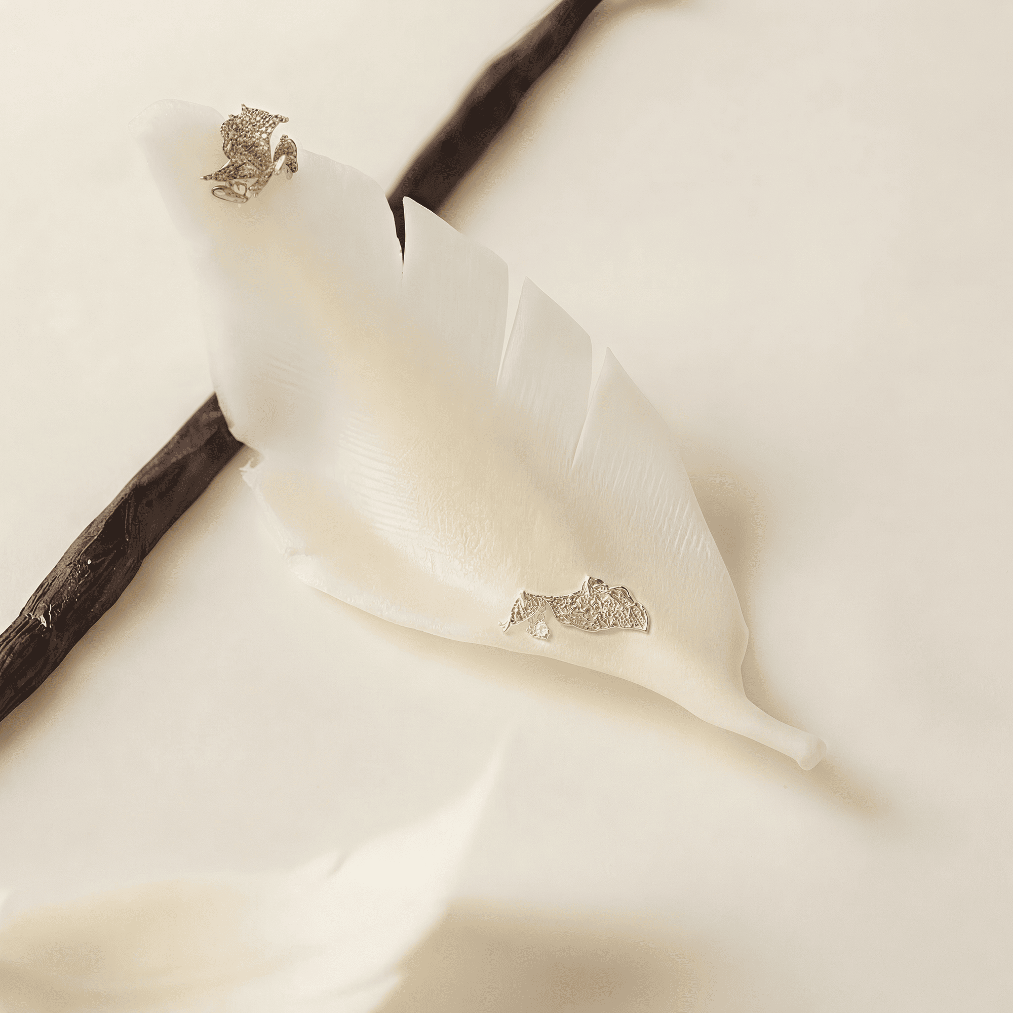 Panna cotta dừa cốc