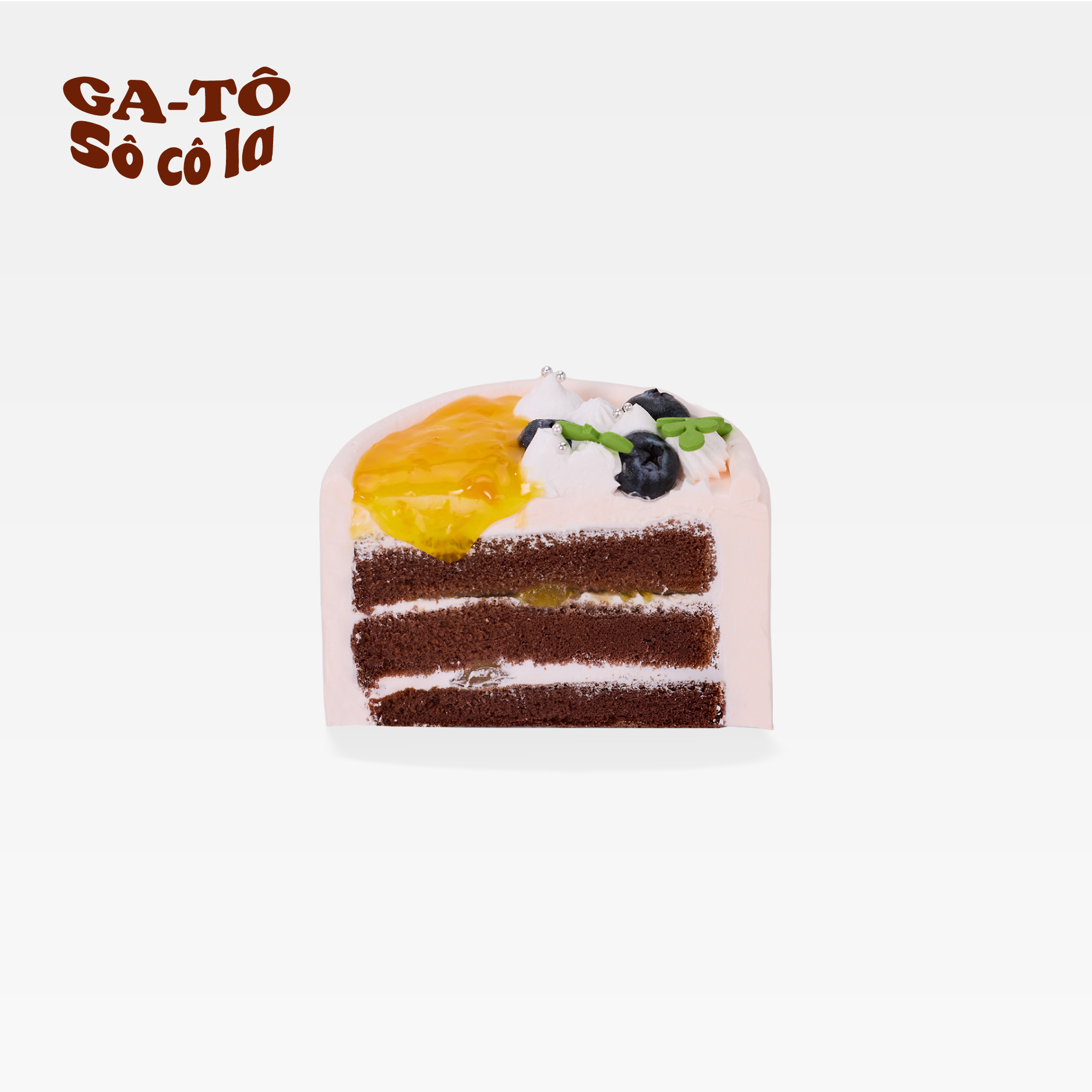 Choux kem vani hộp 5